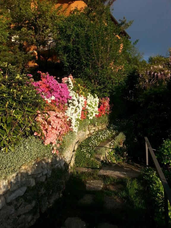 Casa Vacanze Le Violette Villa บรูนาเต ภายนอก รูปภาพ
