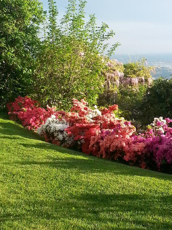 Casa Vacanze Le Violette Villa บรูนาเต ภายนอก รูปภาพ