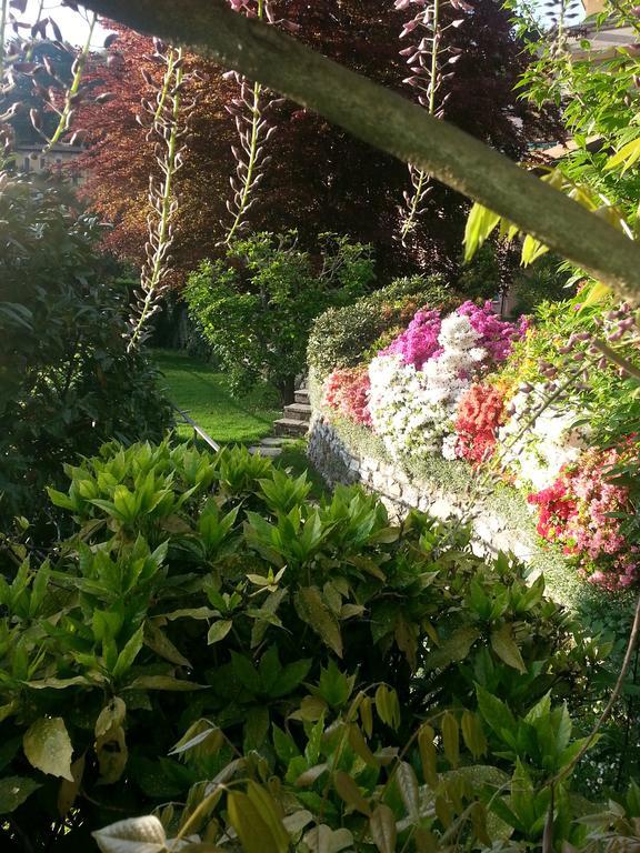 Casa Vacanze Le Violette Villa บรูนาเต ห้อง รูปภาพ